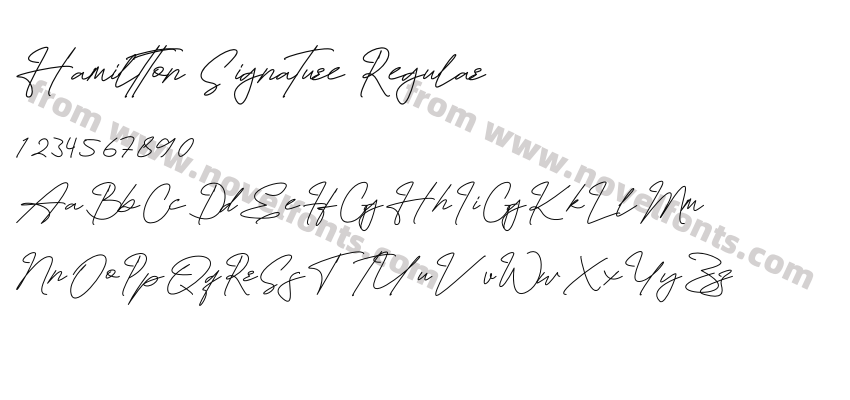 Hamiltton Signature RegularPreview