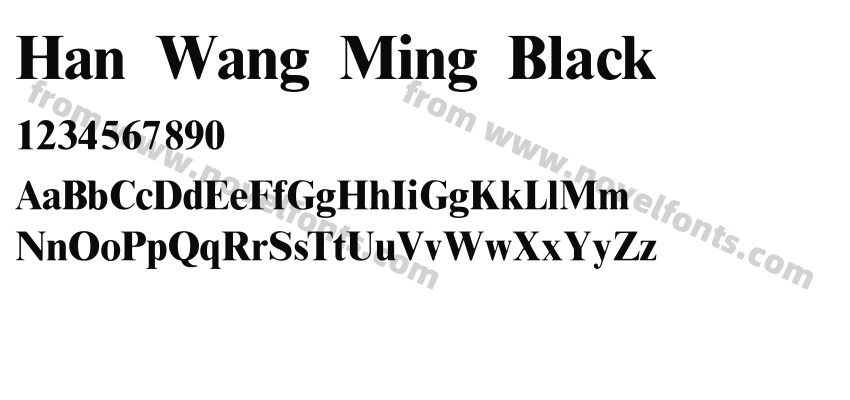 Han Wang Ming BlackPreview