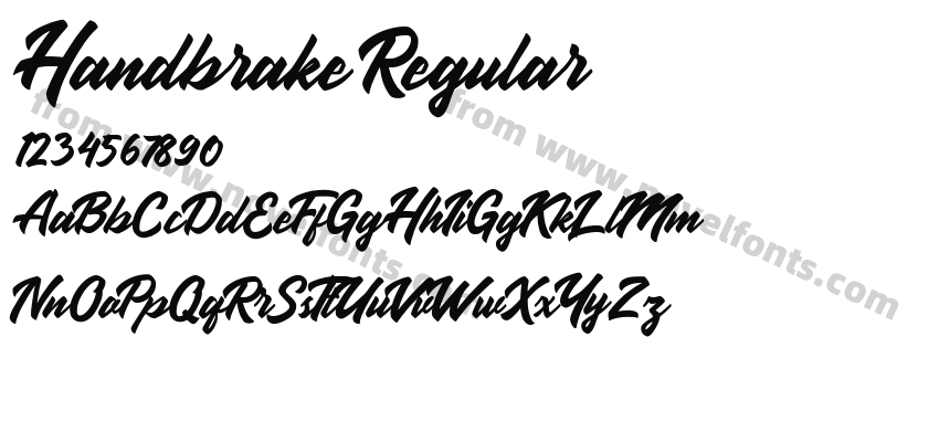 Handbrake RegularPreview