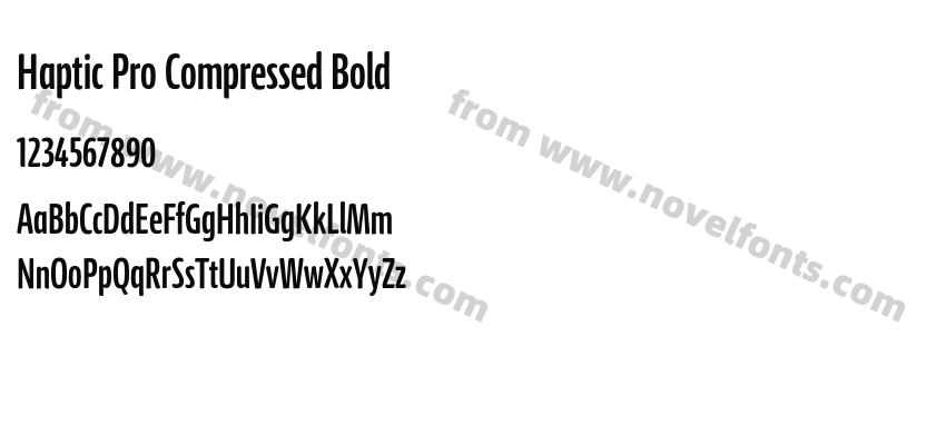 Haptic Pro Compressed BoldPreview