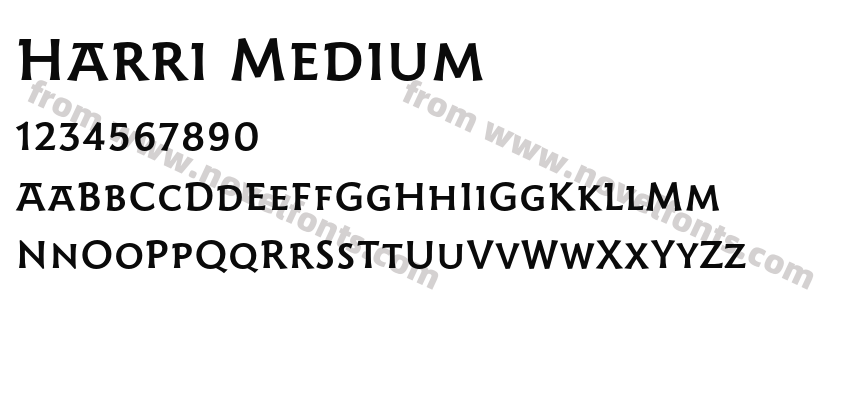Harri MediumPreview