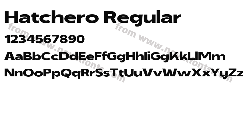 Hatchero RegularPreview