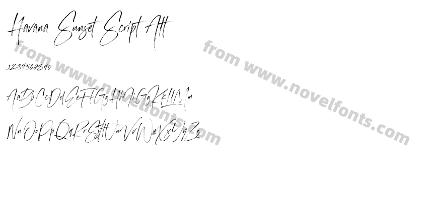 Havana Sunset Script AltPreview