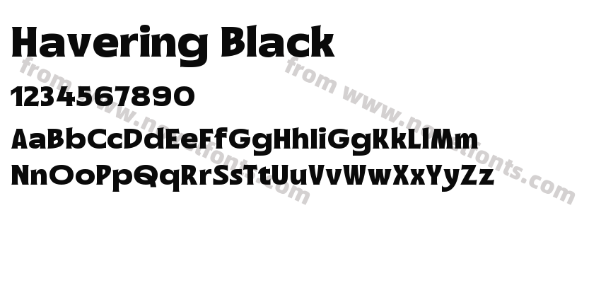 Havering BlackPreview