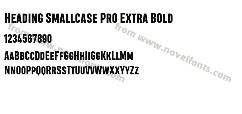 Heading Smallcase Pro Extra BoldPreview