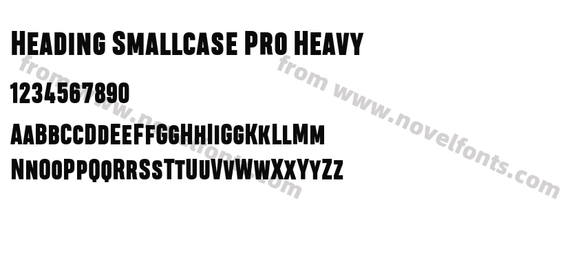 Heading Smallcase Pro HeavyPreview