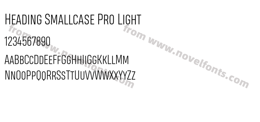 Heading Smallcase Pro LightPreview