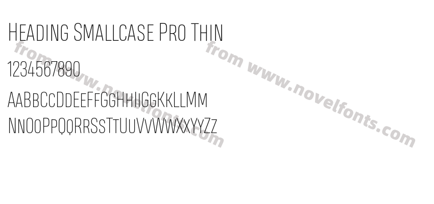 Heading Smallcase Pro ThinPreview
