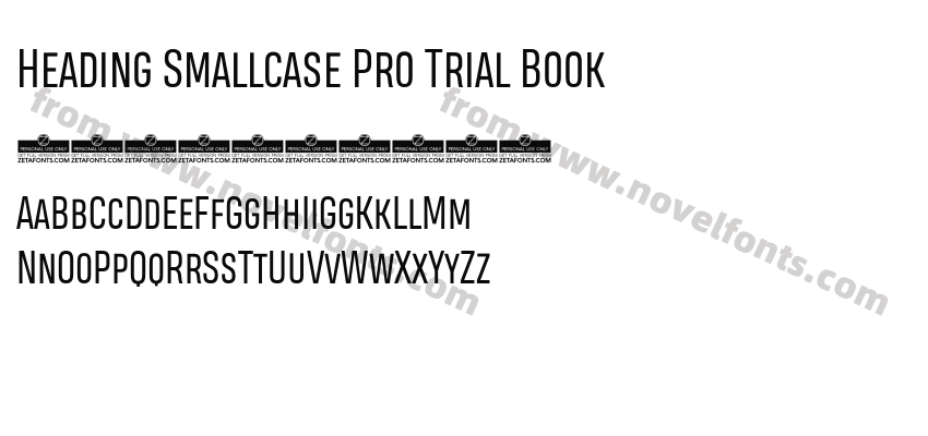 Heading Smallcase Pro Trial BookPreview