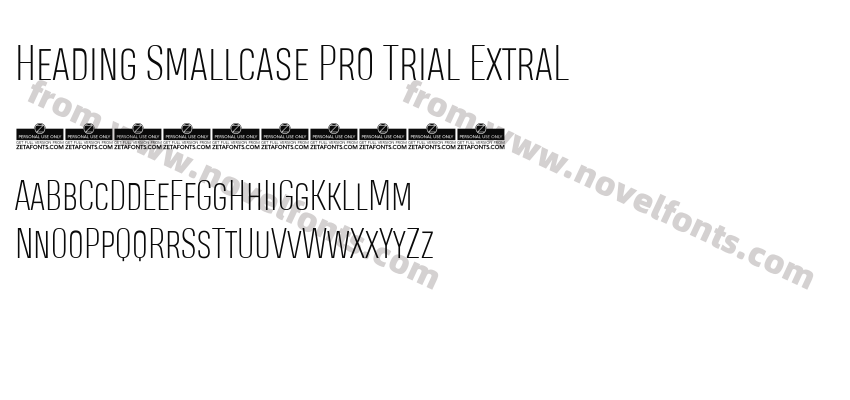 Heading Smallcase Pro Trial ExtraLPreview