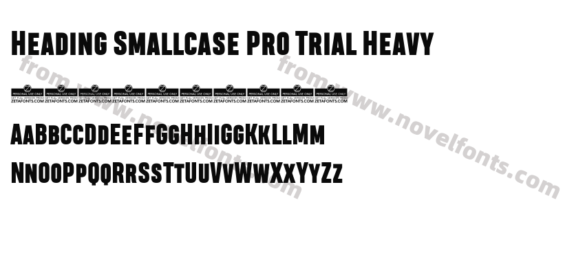 Heading Smallcase Pro Trial HeavyPreview