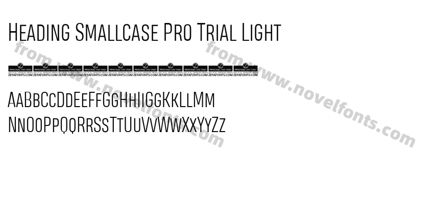 Heading Smallcase Pro Trial LightPreview