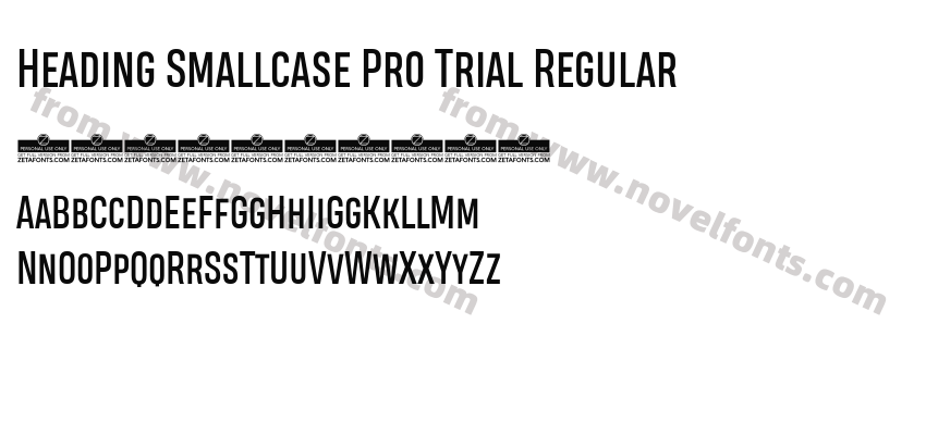 Heading Smallcase Pro Trial RegularPreview
