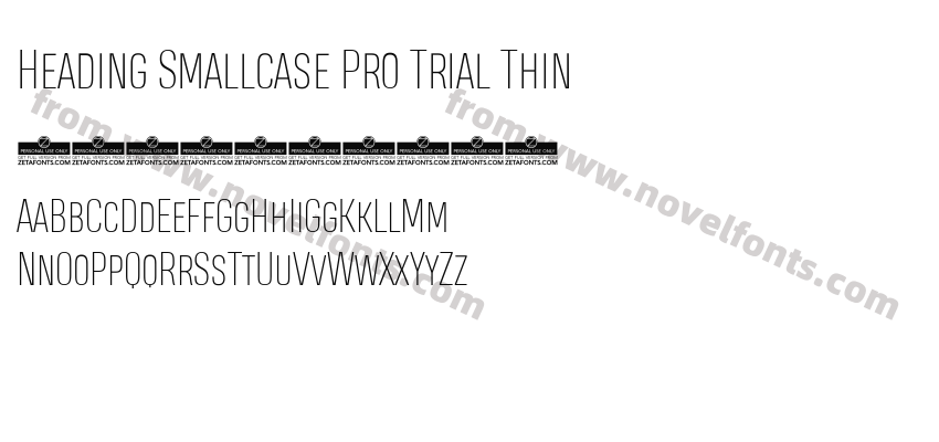 Heading Smallcase Pro Trial ThinPreview