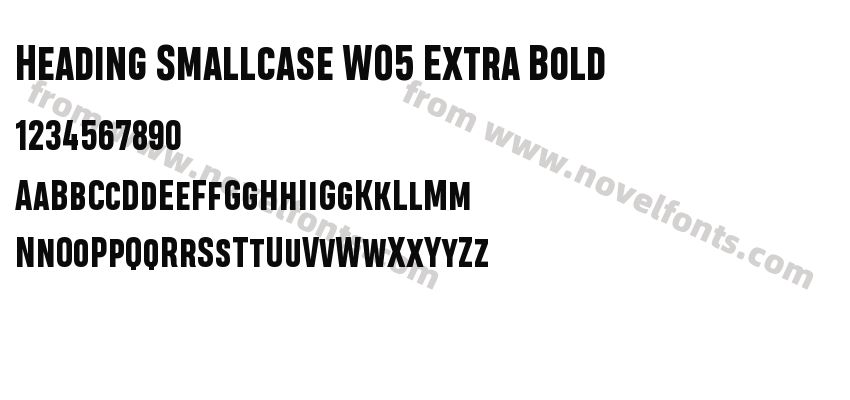 Heading Smallcase W05 Extra BoldPreview