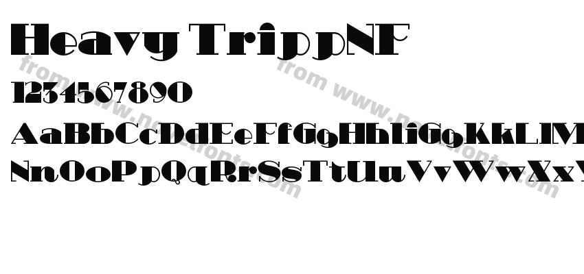 Heavy TrippNFPreview