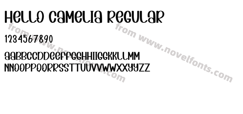Hello Camelia RegularPreview