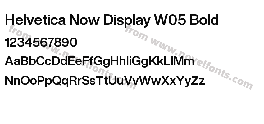 Helvetica Now Display W05 BoldPreview