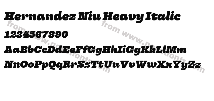 Hernandez Niu Heavy ItalicPreview