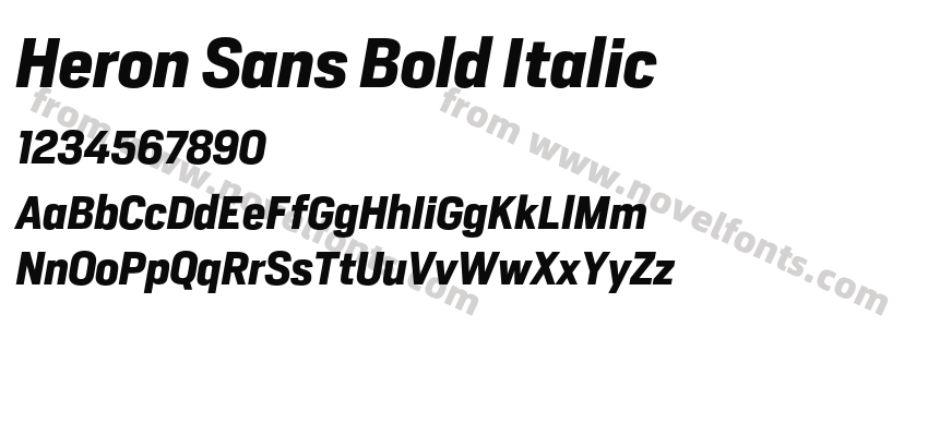 Heron Sans Bold ItalicPreview