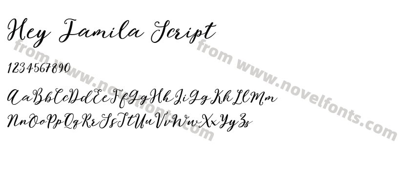 Hey Jamila ScriptPreview