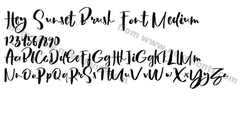 Hey Sunset Brush Font MediumPreview