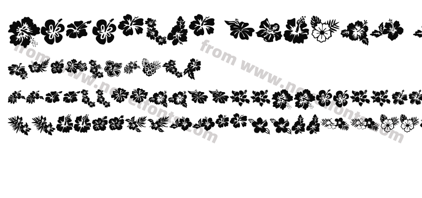 Hibiscus Flower RegularPreview