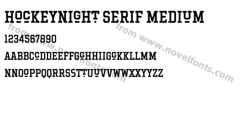 Hockeynight Serif MediumPreview