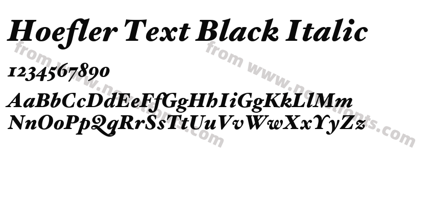 Hoefler Text Black ItalicPreview