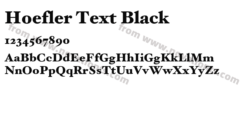 Hoefler Text BlackPreview