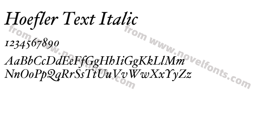 Hoefler Text ItalicPreview