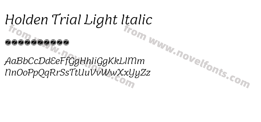 Holden Trial Light ItalicPreview