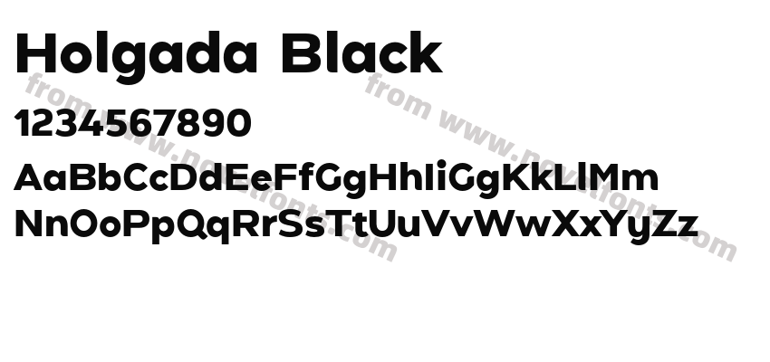 Holgada BlackPreview