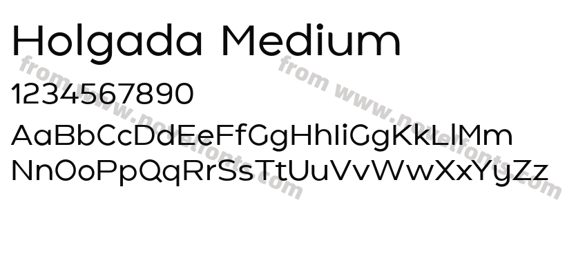 Holgada MediumPreview