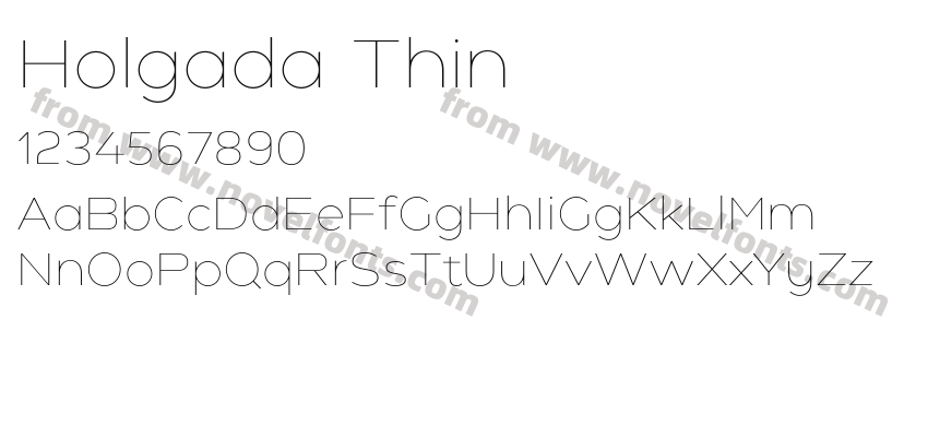 Holgada ThinPreview