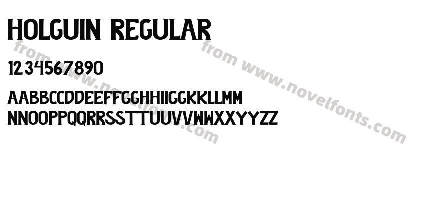 Holguin RegularPreview