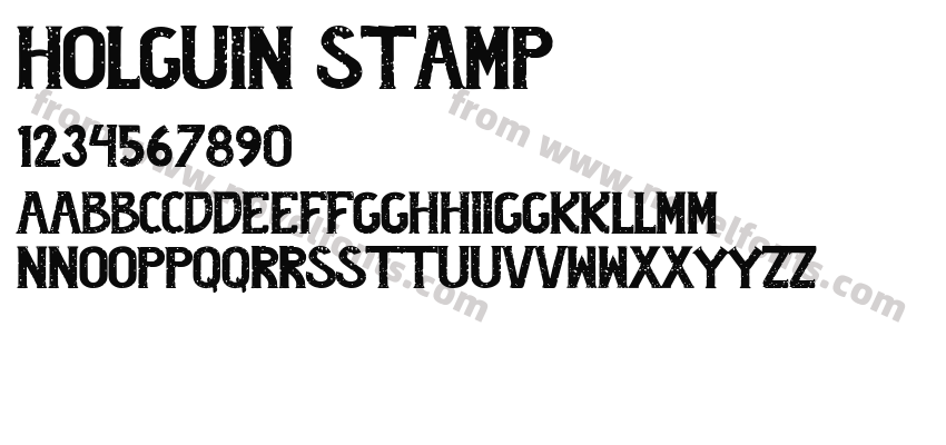 Holguin StampPreview