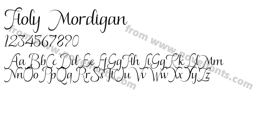 Holy MordiganPreview