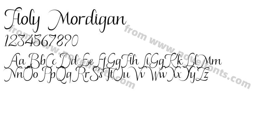 Holy MordiganPreview