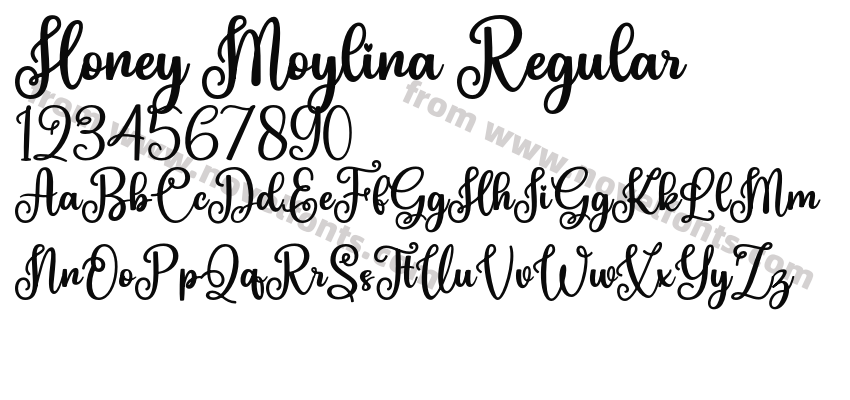 Honey Moylina RegularPreview