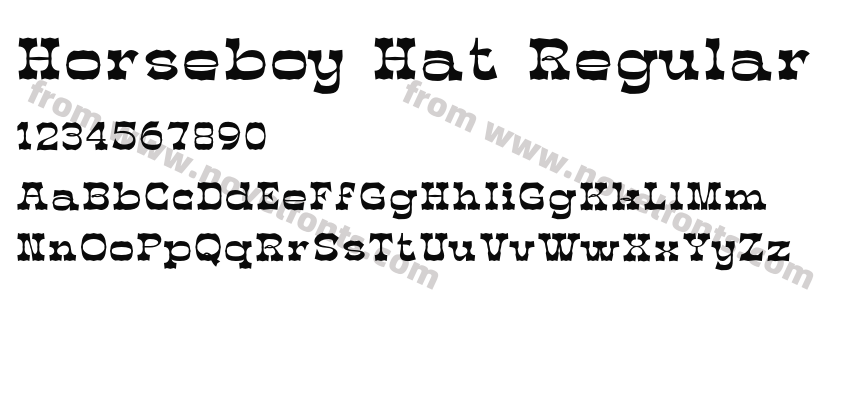 Horseboy Hat RegularPreview