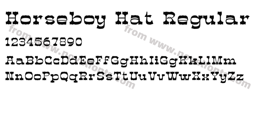 Horseboy Hat RegularPreview