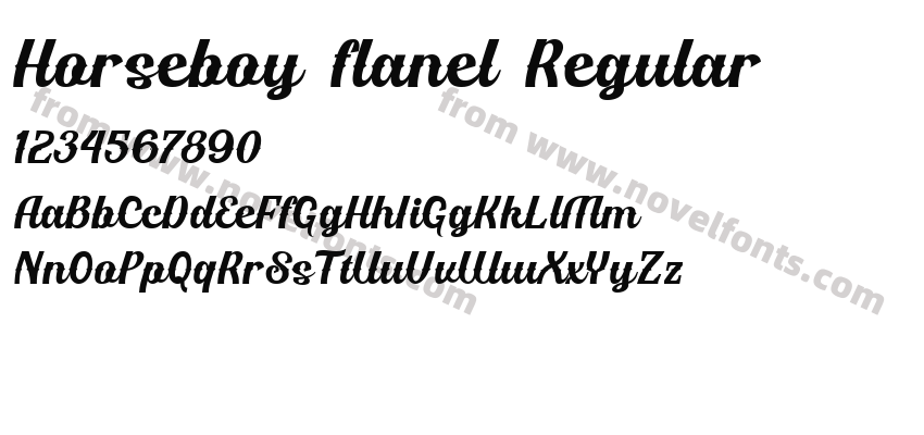 Horseboy flanel RegularPreview