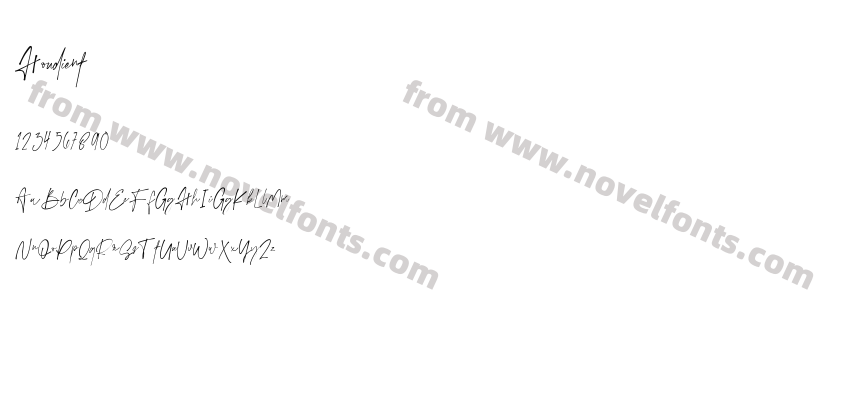HoudientPreview