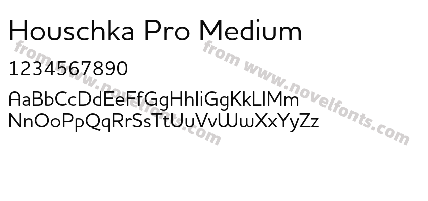 Houschka Pro MediumPreview