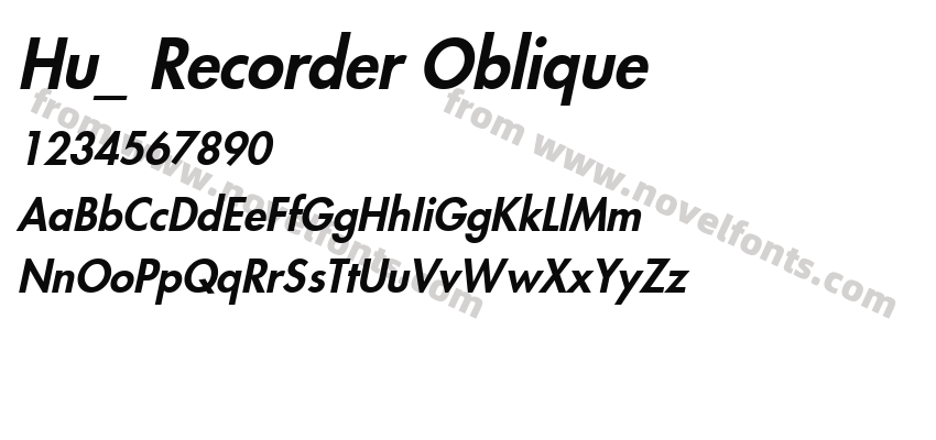 Hu_ Recorder ObliquePreview