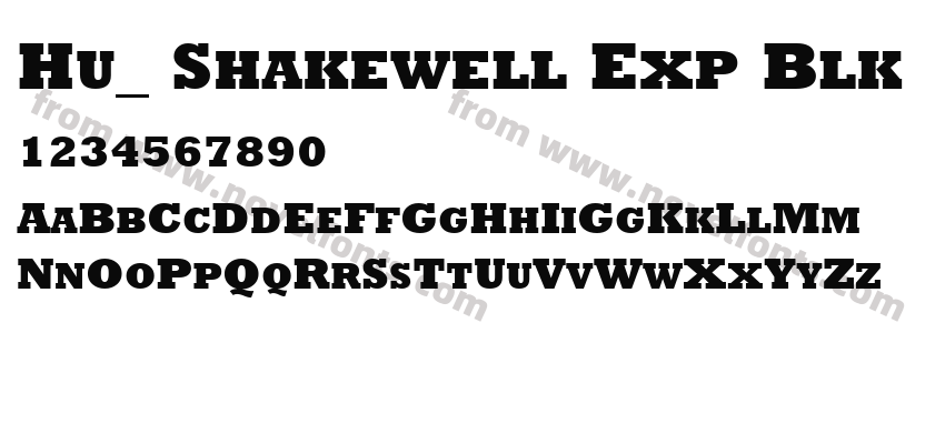 Hu_ Shakewell Exp BlkPreview