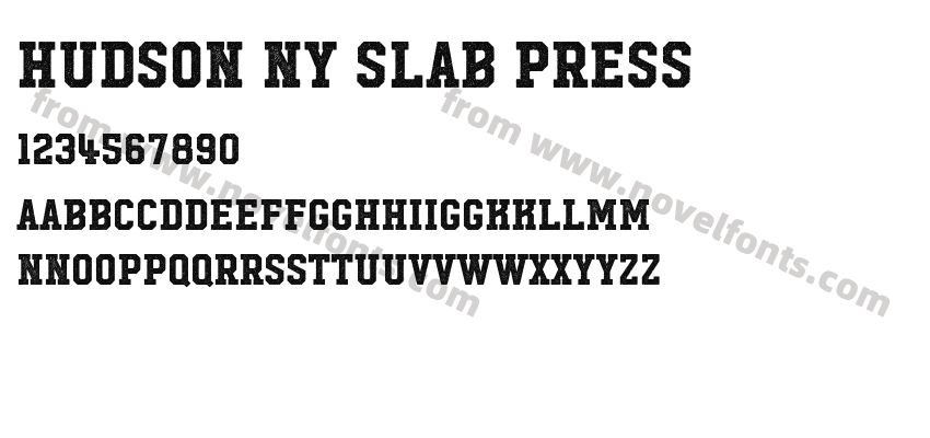 Hudson NY Slab PressPreview