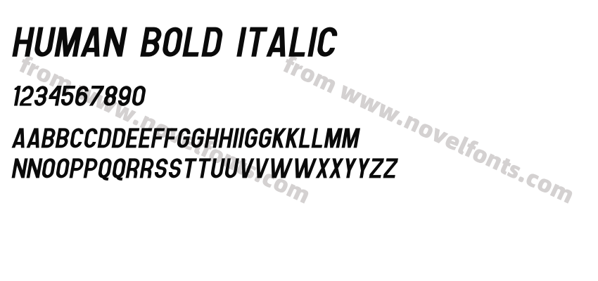 Human Bold ItalicPreview