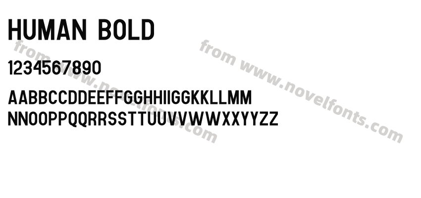 Human BoldPreview
